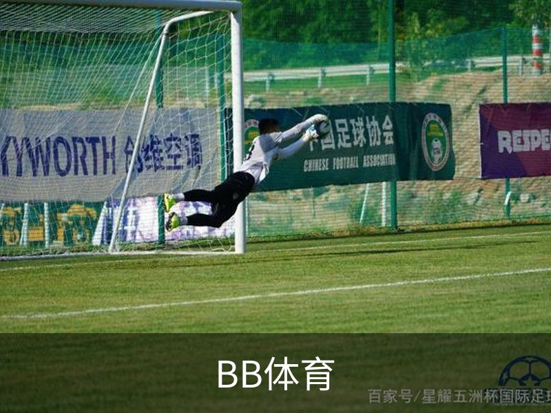 了解BB体育
